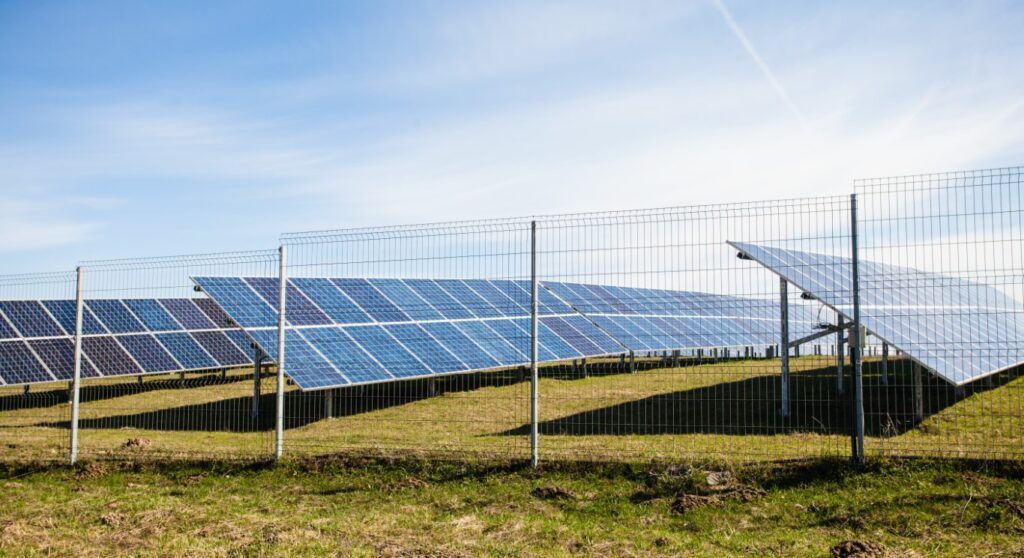 איך הפכו פאנלים סולאריים למוצר שכולנו יכולים להרשות לעצמנו?